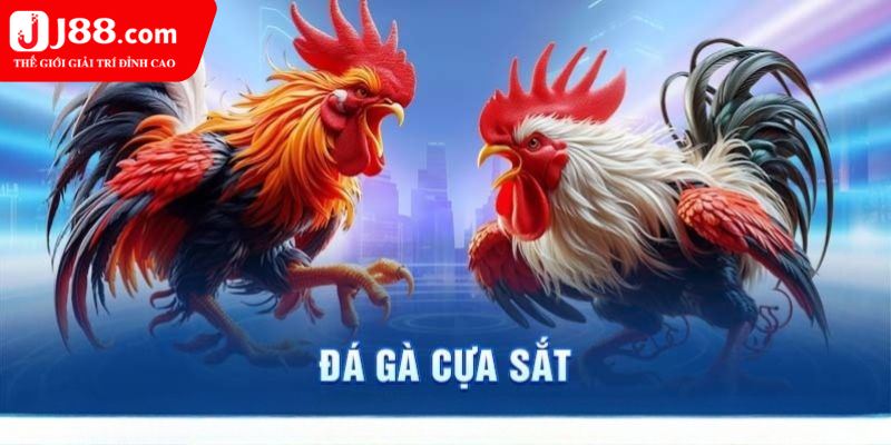 Giới thiệu về đá gà cựa sắt J88